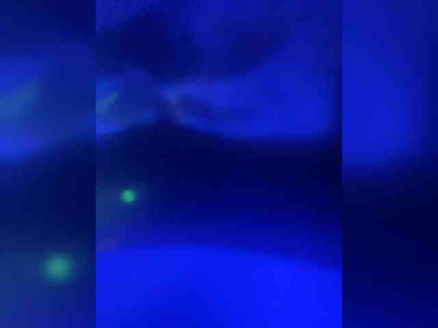 TheDime webcam
