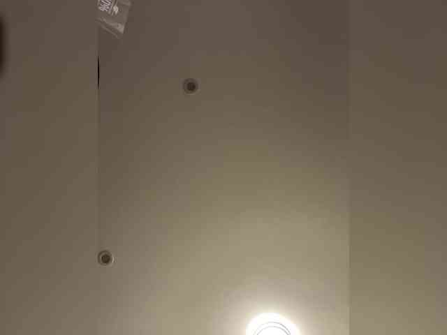 TheDime webcam