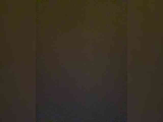 TheDime webcam