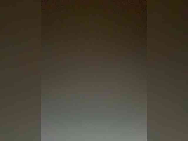 TheDime webcam