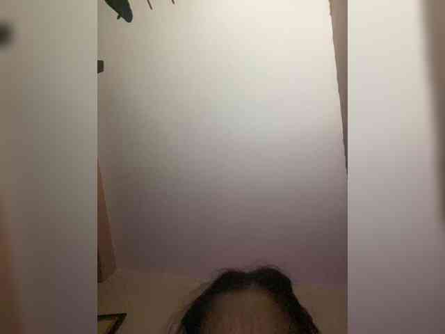 TheDime webcam