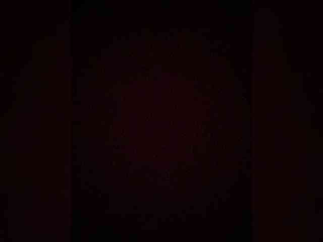TheDime webcam