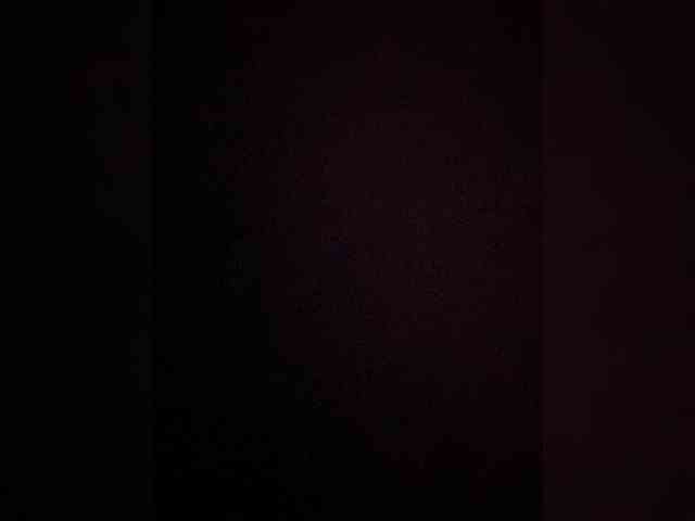 TheDime webcam