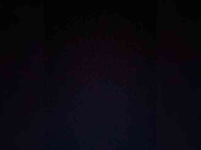 TheDime webcam