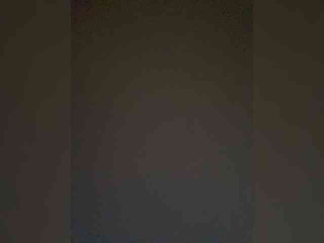 TheDime webcam