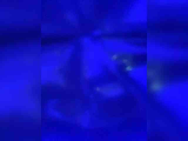 TheDime webcam