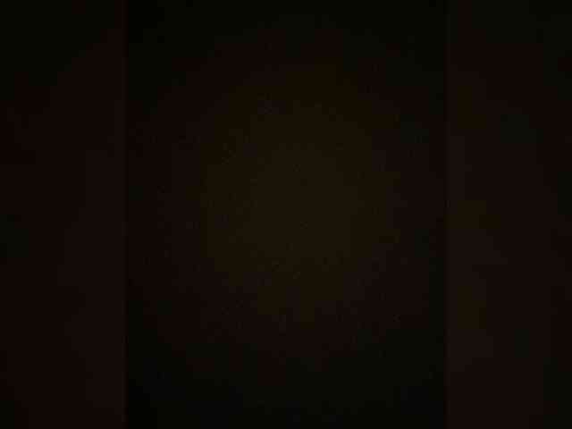 TheDime webcam