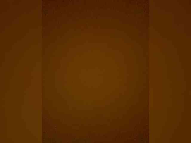TheDime webcam