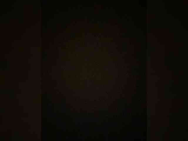 TheDime webcam