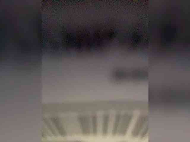 TheDime webcam