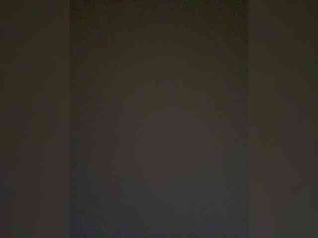 TheDime webcam