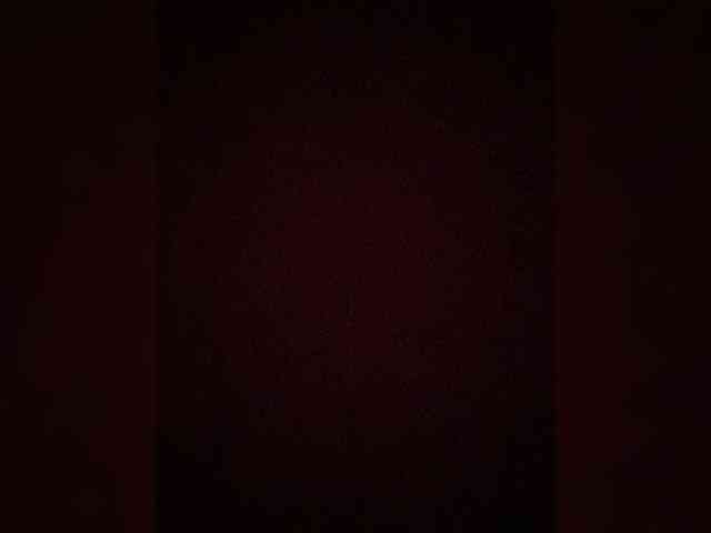 TheDime webcam