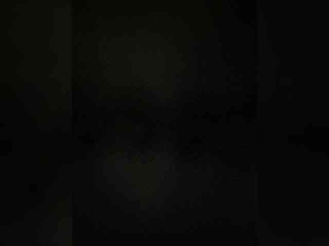 TheDime webcam