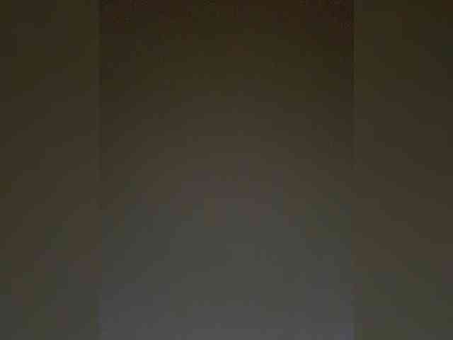 TheDime webcam