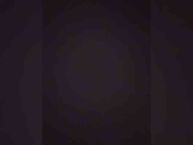TheDime webcam