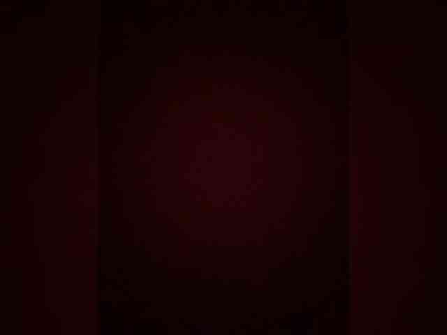 TheDime webcam