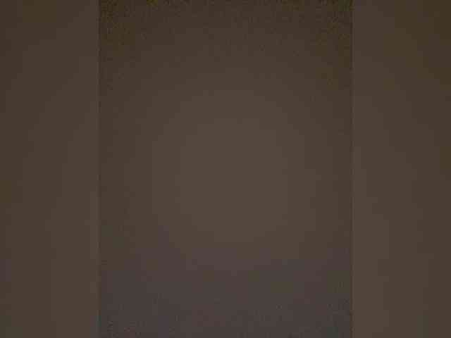 TheDime webcam