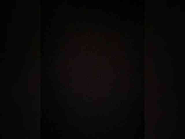 TheDime webcam