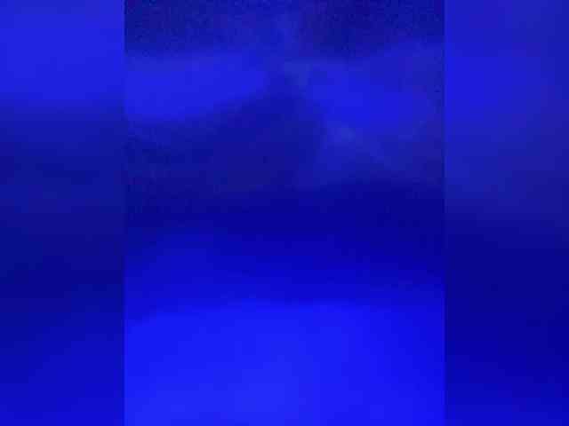 TheDime webcam