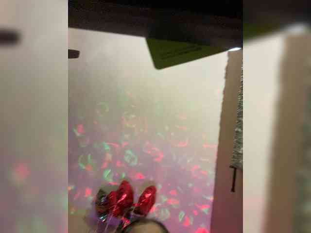 TheDime webcam