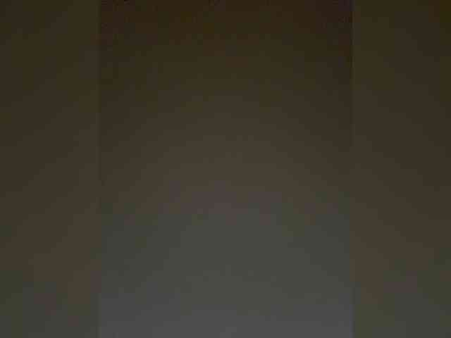 TheDime webcam