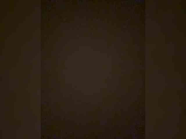 TheDime webcam