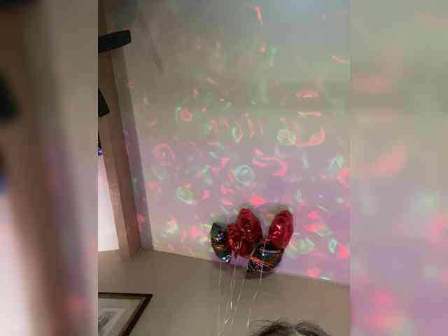 TheDime webcam