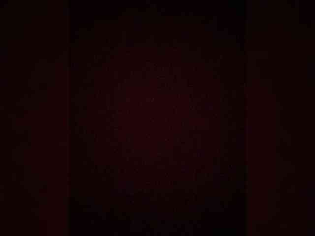 TheDime webcam