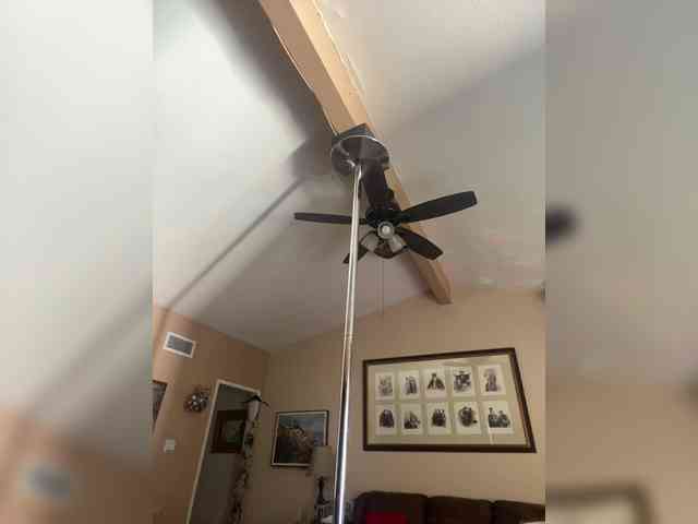 TheDime webcam