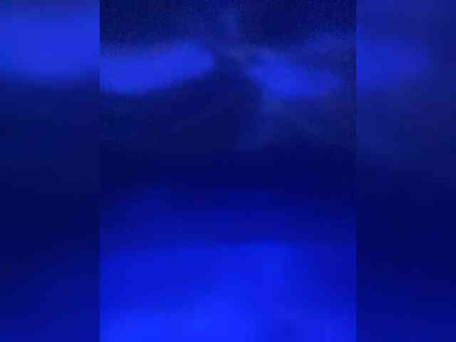 TheDime webcam