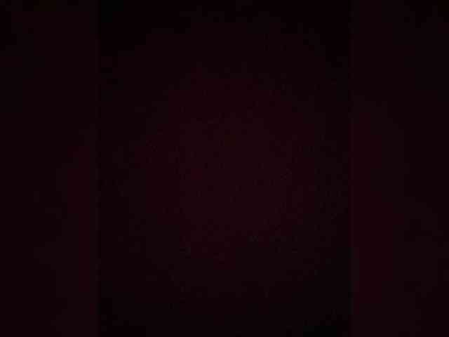 TheDime webcam