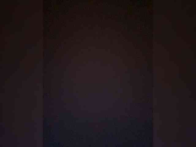 TheDime webcam