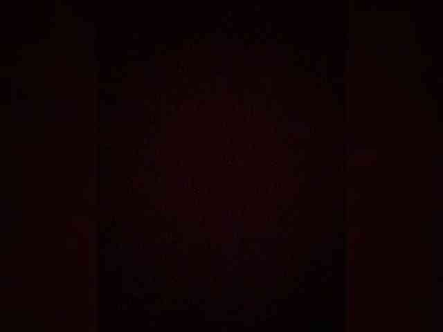 TheDime webcam