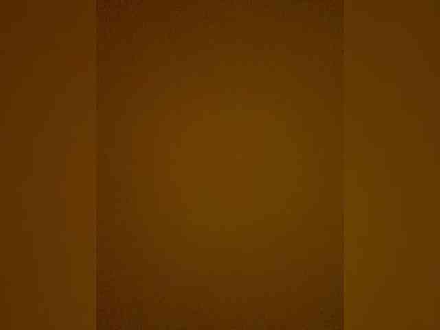 TheDime webcam
