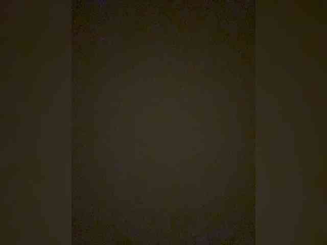 TheDime webcam