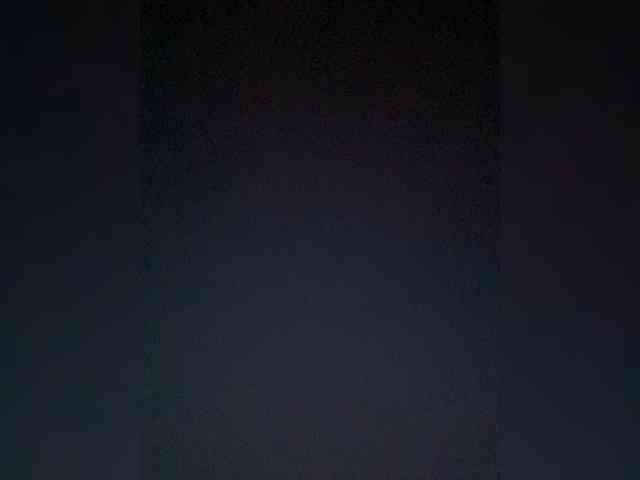 TheDime webcam