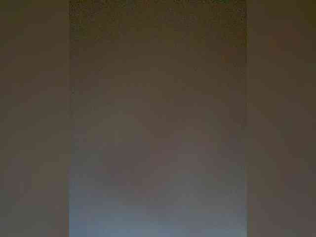 TheDime webcam
