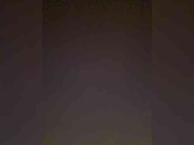 TheDime webcam