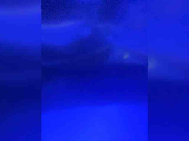 TheDime webcam