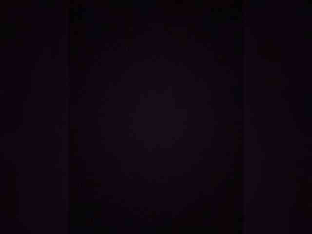 TheDime webcam