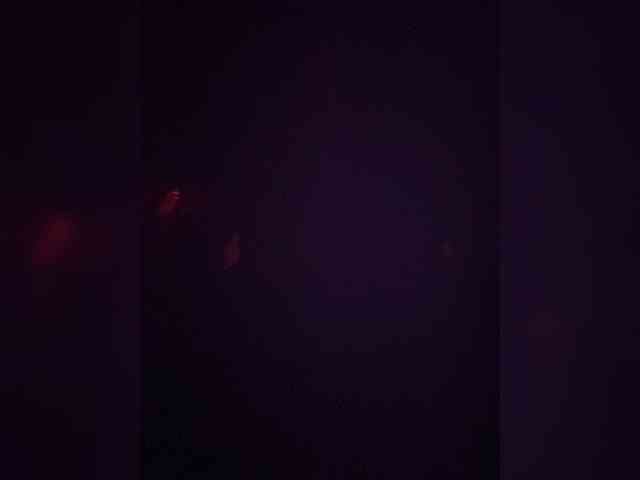 TheDime webcam