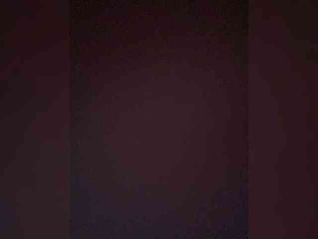 TheDime webcam