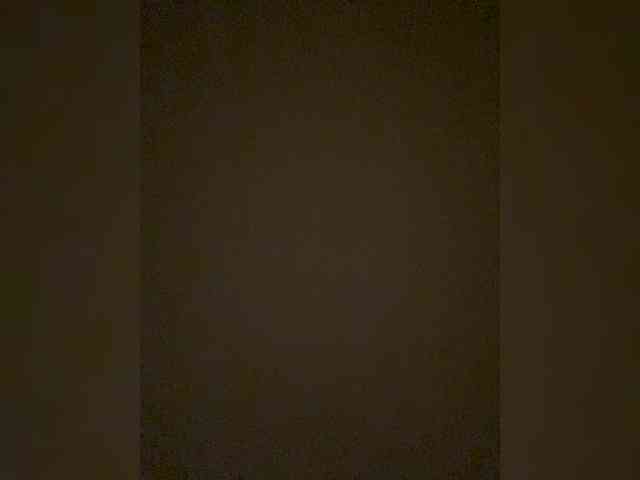 TheDime webcam