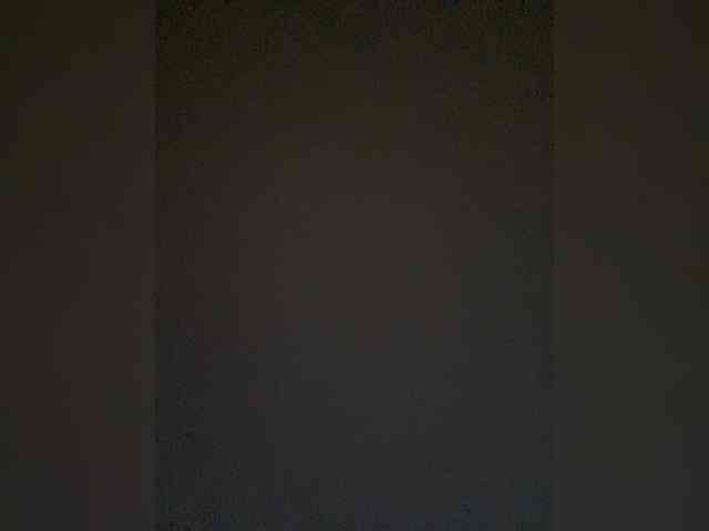 TheDime webcam
