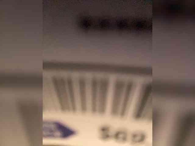 TheDime webcam