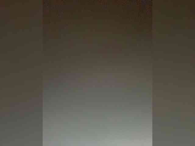 TheDime webcam