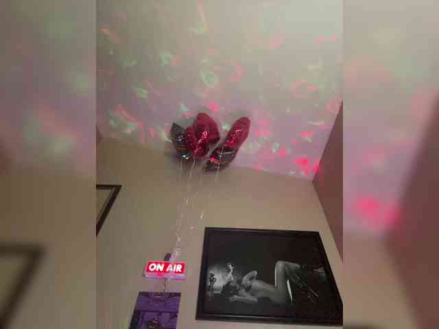 TheDime webcam