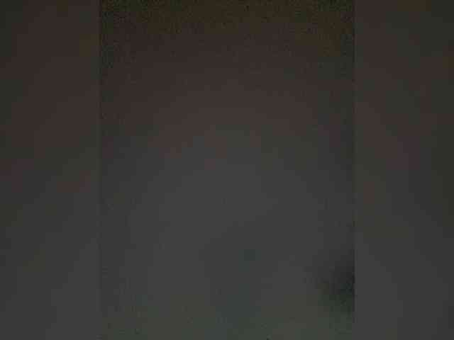 TheDime webcam