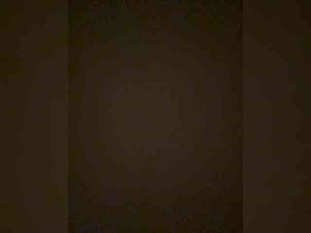 TheDime webcam