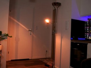 VIRTUAL_MUSE Porn Show